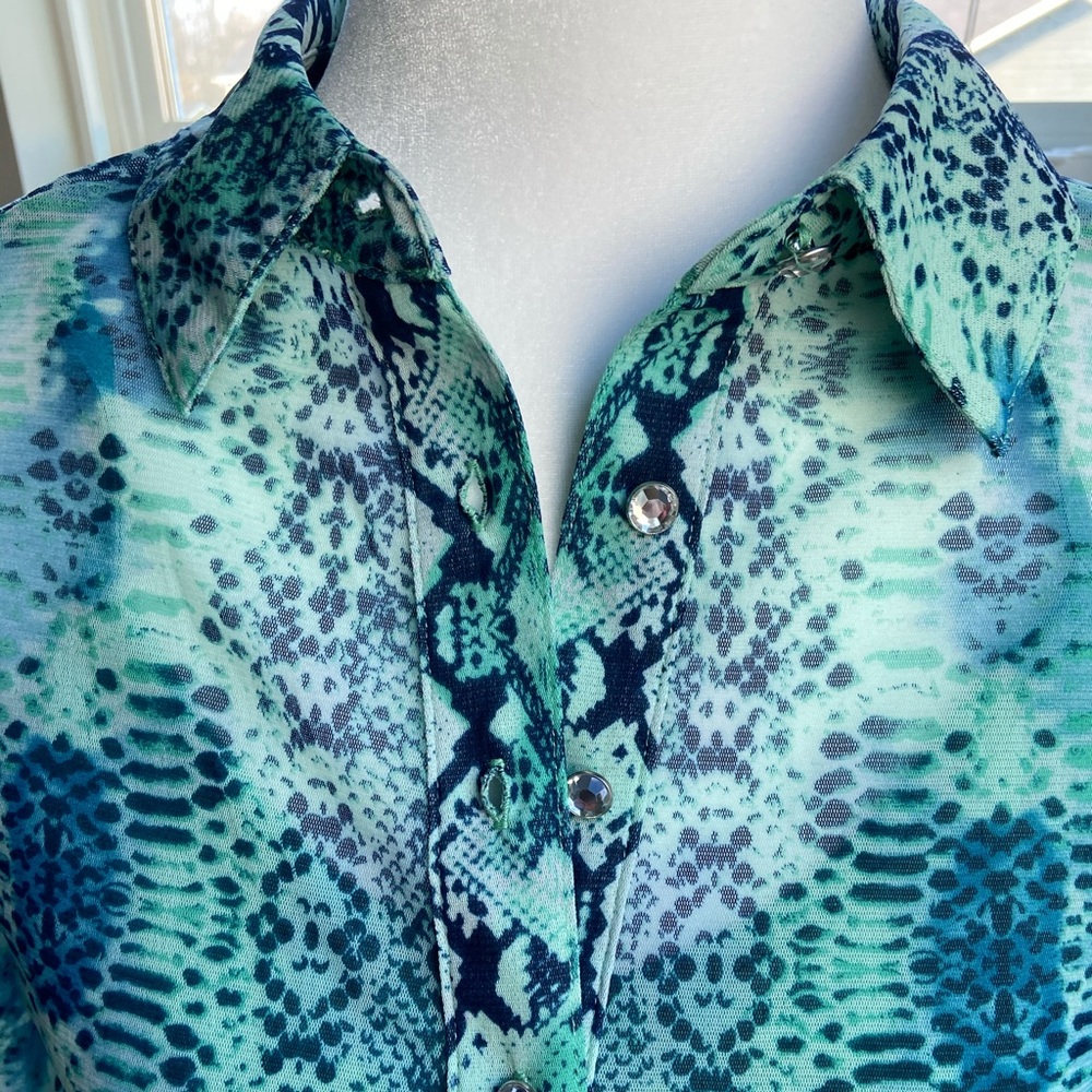 Long Sleeve Sheer Blouse w Camisole